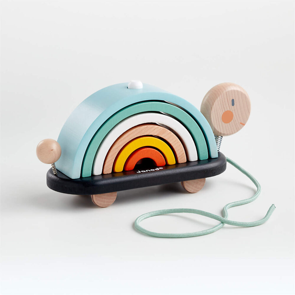 Wonder and Wise Activity Baby Push Walker - Görsel 5